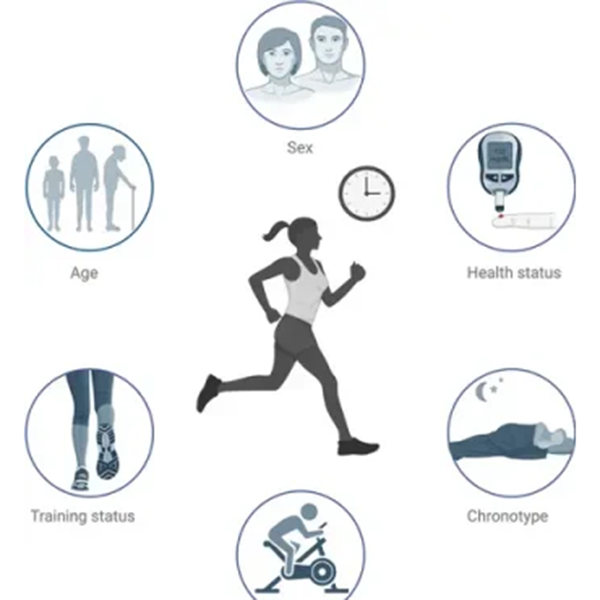 Efectos del momento del ejercicio sobre la salud metabólica