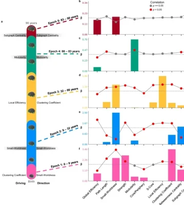 41467_2025_65974_Fig5_HTML (2)