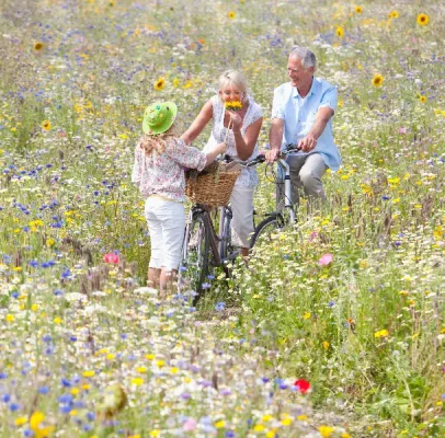 Ageing Europe