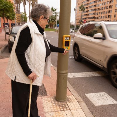 Plan de Atención a las Personas Mayores del País Vasco