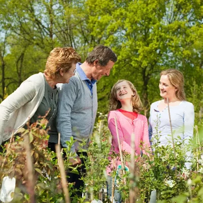 Proyecto Entregeneraciones