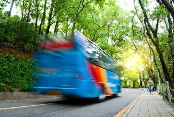 way-through-the-forest-2026-01-08-07-29-28-utc